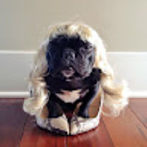 Meet your Posher, Captainpinz